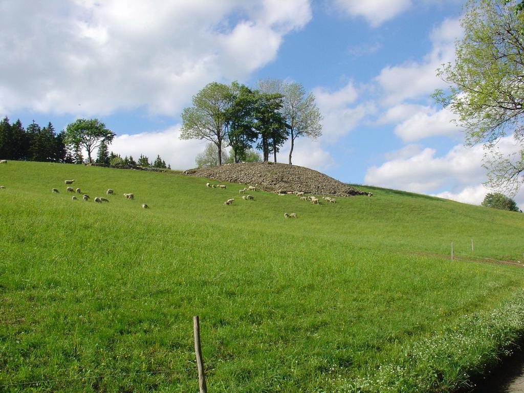 Penzion Na Zvonici Paseky nad Jizerou Exteriér fotografie